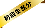初回生産分